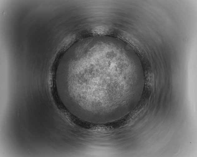 X0000093730738200710161116