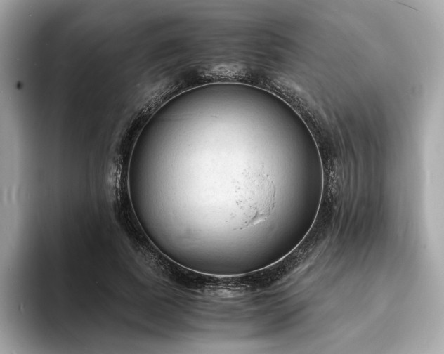 X0000093730739200710161116