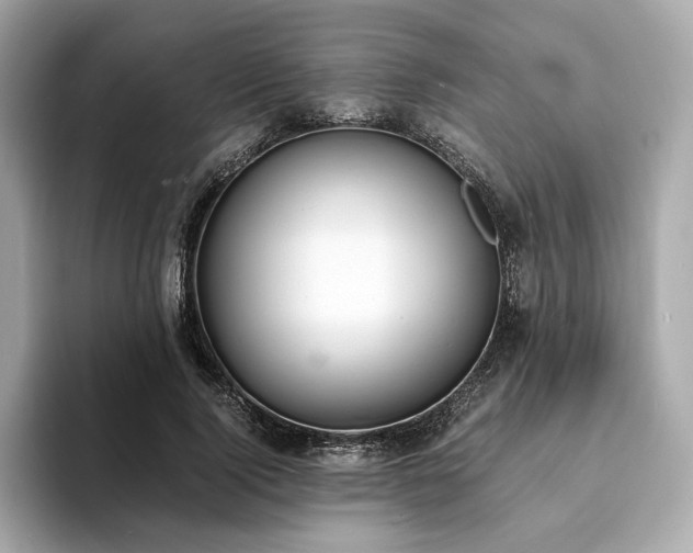 X0000093730740200710161116