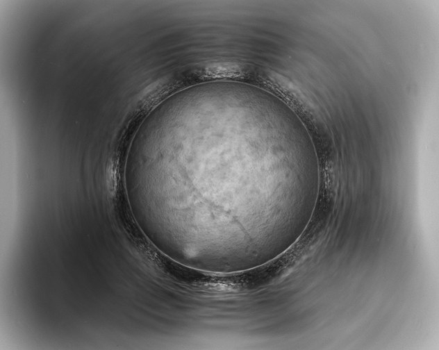X0000093730741200710161116