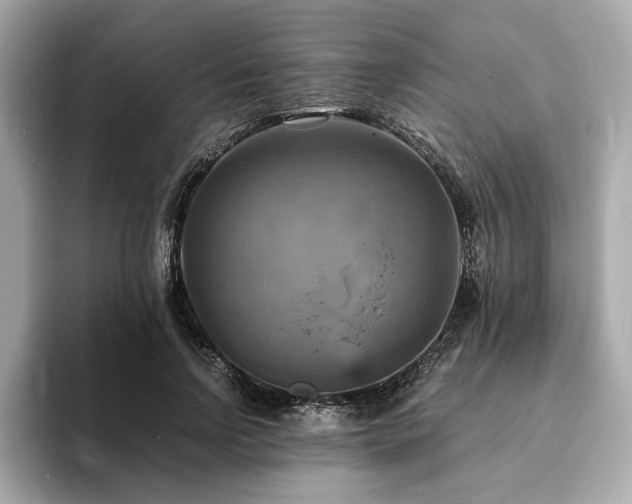X0000093730742200710161116