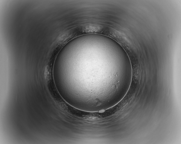 X0000093730743200710161116