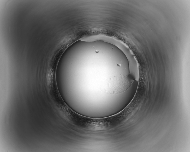 X0000093730744200710161116