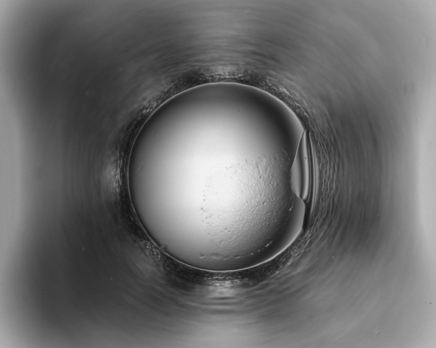 X0000093730746200710161116