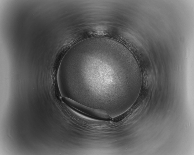 X0000093730747200710161116