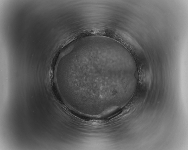 X0000093730748200710161116