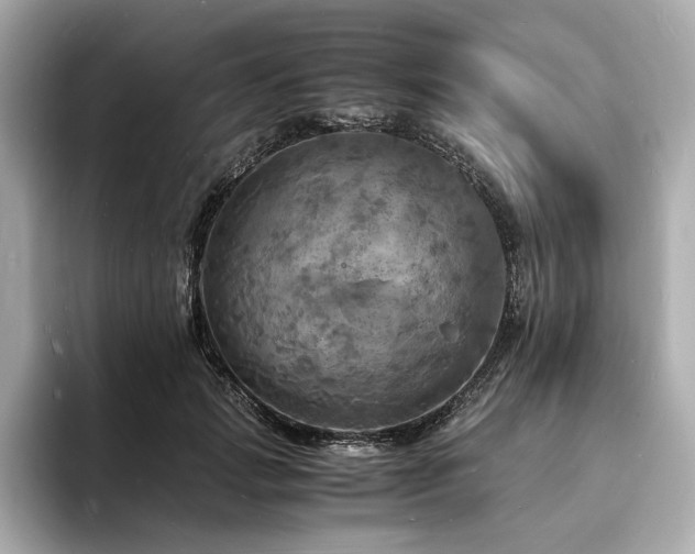 X0000093730749200710161116