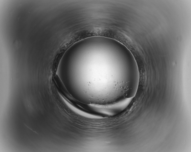 X0000093730750200710161116