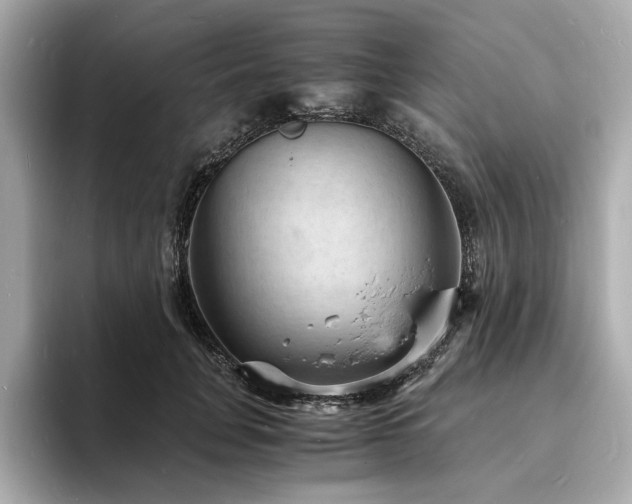 X0000093730751200710161116