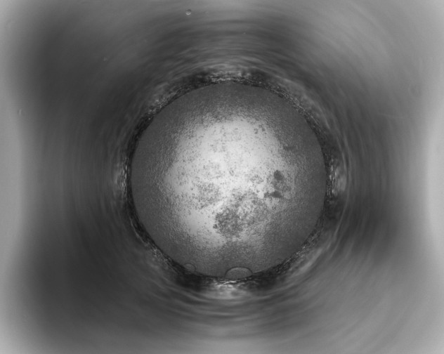 X0000093730753200710161116