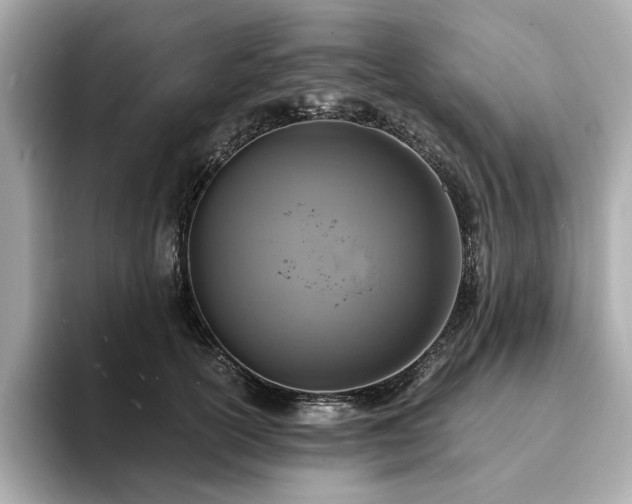 X0000093730754200710161116