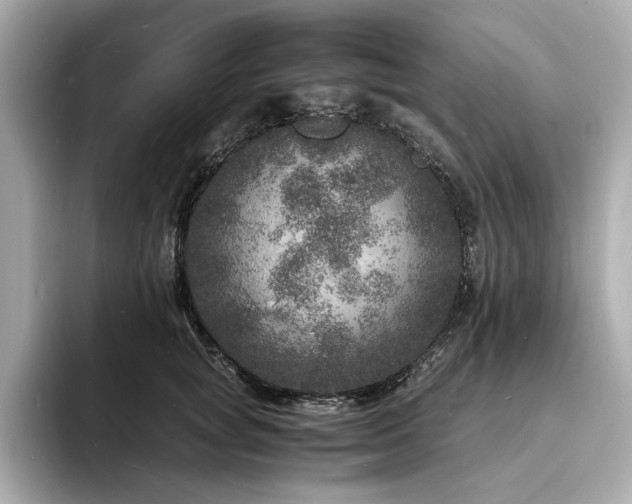 X0000093730757200710161117