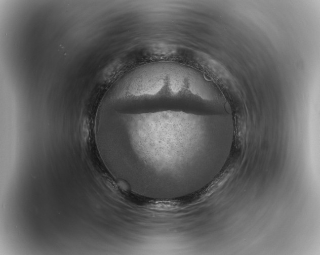 X0000093730758200710161117