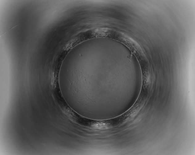 X0000093730759200710161117
