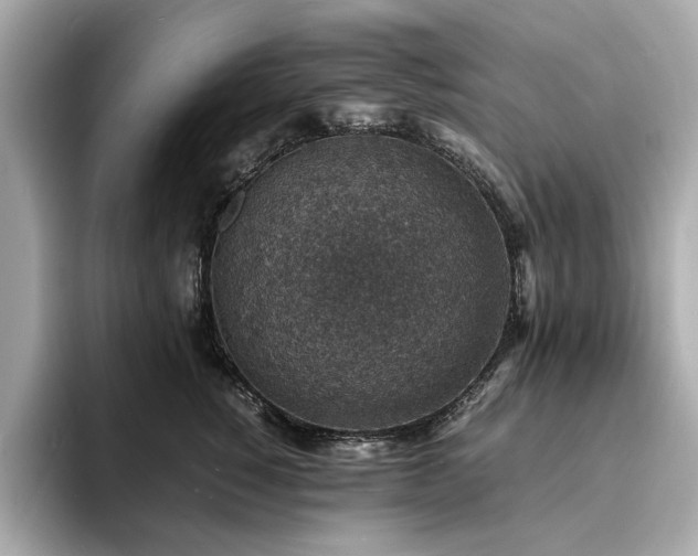 X0000093730760200710161117