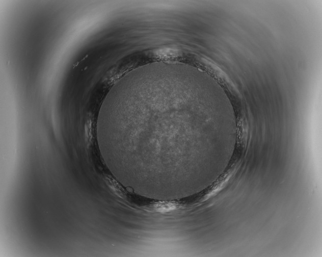 X0000093730762200710161117