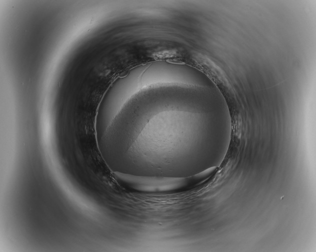 X0000093730763200710161117