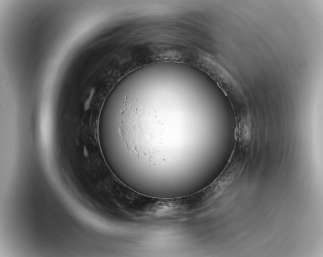 X0000093730764200710161117