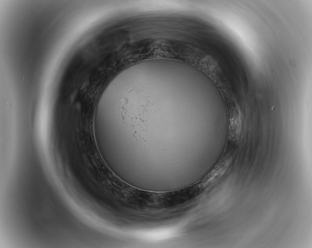 X0000093730765200710161117