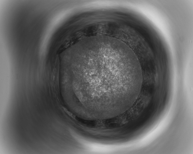 X0000093730766200710161117
