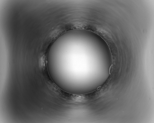 X0000093730768200710161117