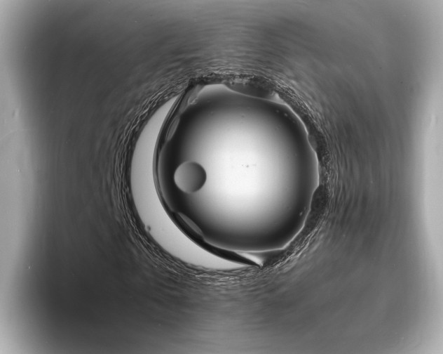 X0000093730769200710161116