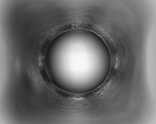 X0000093730770200710161116