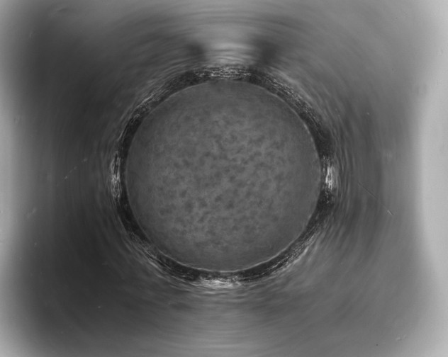 X0000093730771200710161116