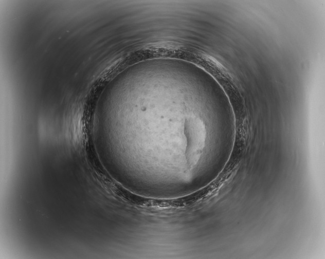 X0000093730774200710161116