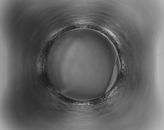 X0000093730775200710161116