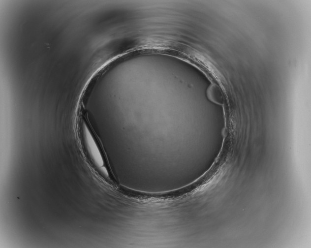 X0000093730779200710161116