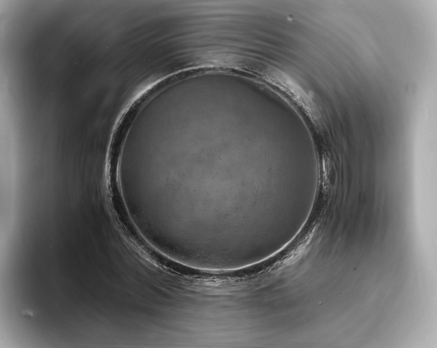 X0000093730780200710161116