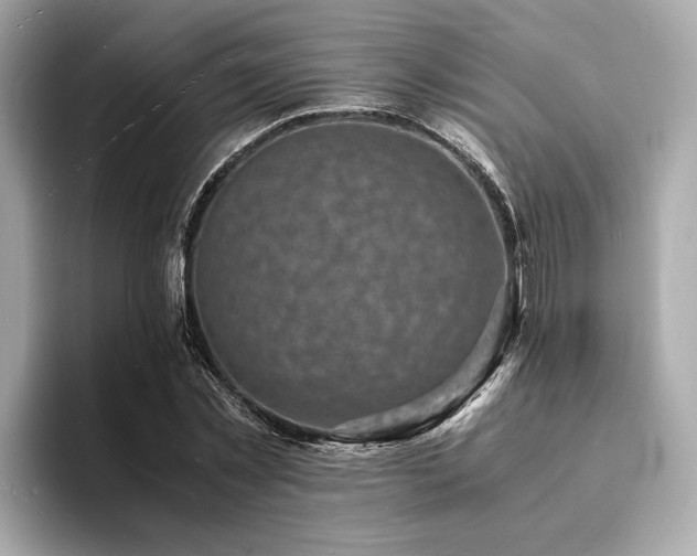 X0000093730781200710161116