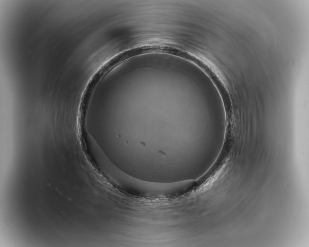 X0000093730783200710161116