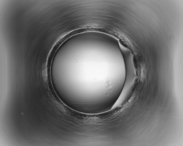 X0000093730784200710161116