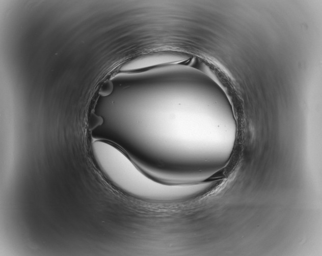 X0000093730785200710161116
