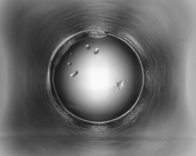 X0000093730788200710161116