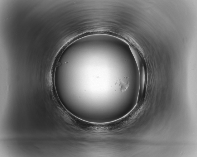X0000093730789200710161116