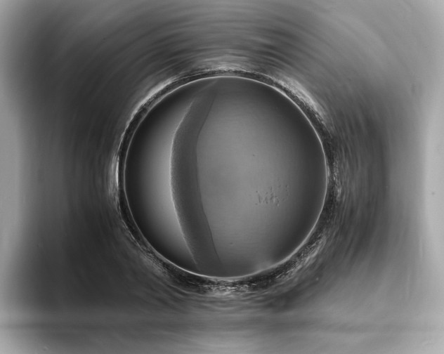 X0000093730790200710161116