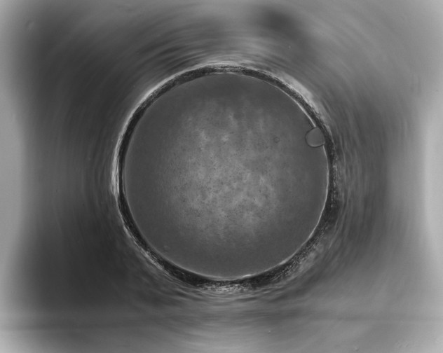 X0000093730791200710161116