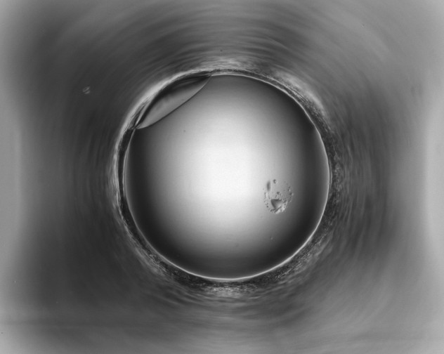 X0000093730792200710161116