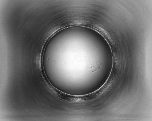 X0000093730794200710161116