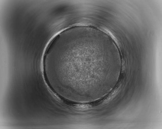 X0000093730795200710161116