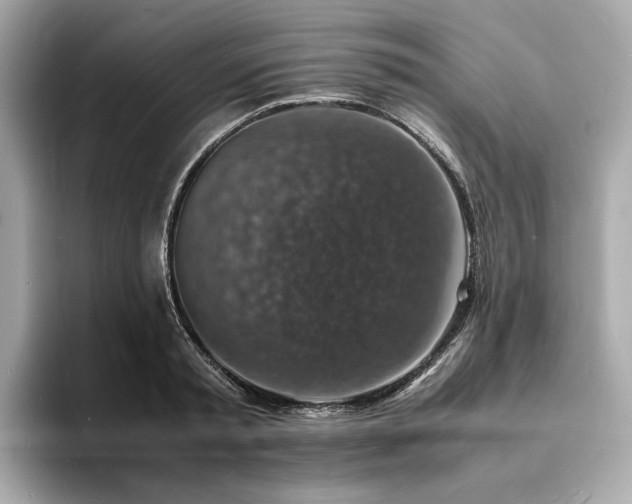 X0000093730797200710161116