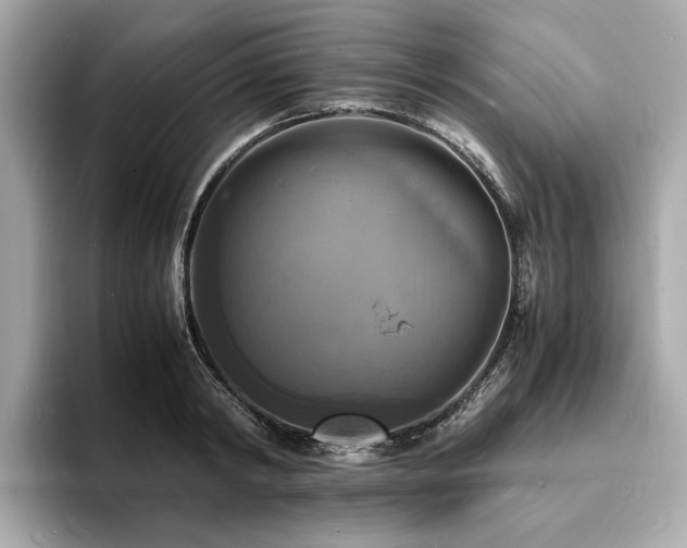 X0000093730798200710161116
