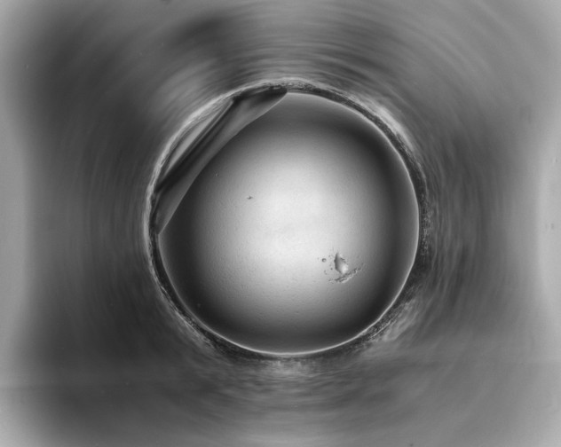 X0000093730799200710161116