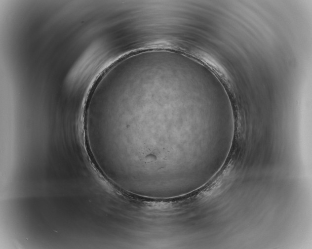X0000093730800200710161116