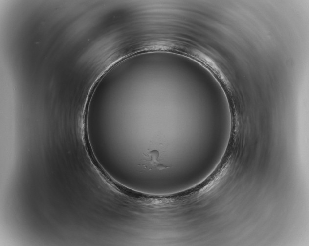 X0000093730802200710161116