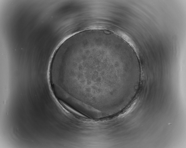 X0000093730803200710161116