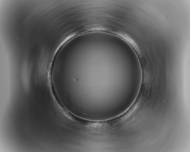 X0000093730806200710161116